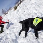 Forskningsklyngen i Bergen: Fjellmedisin