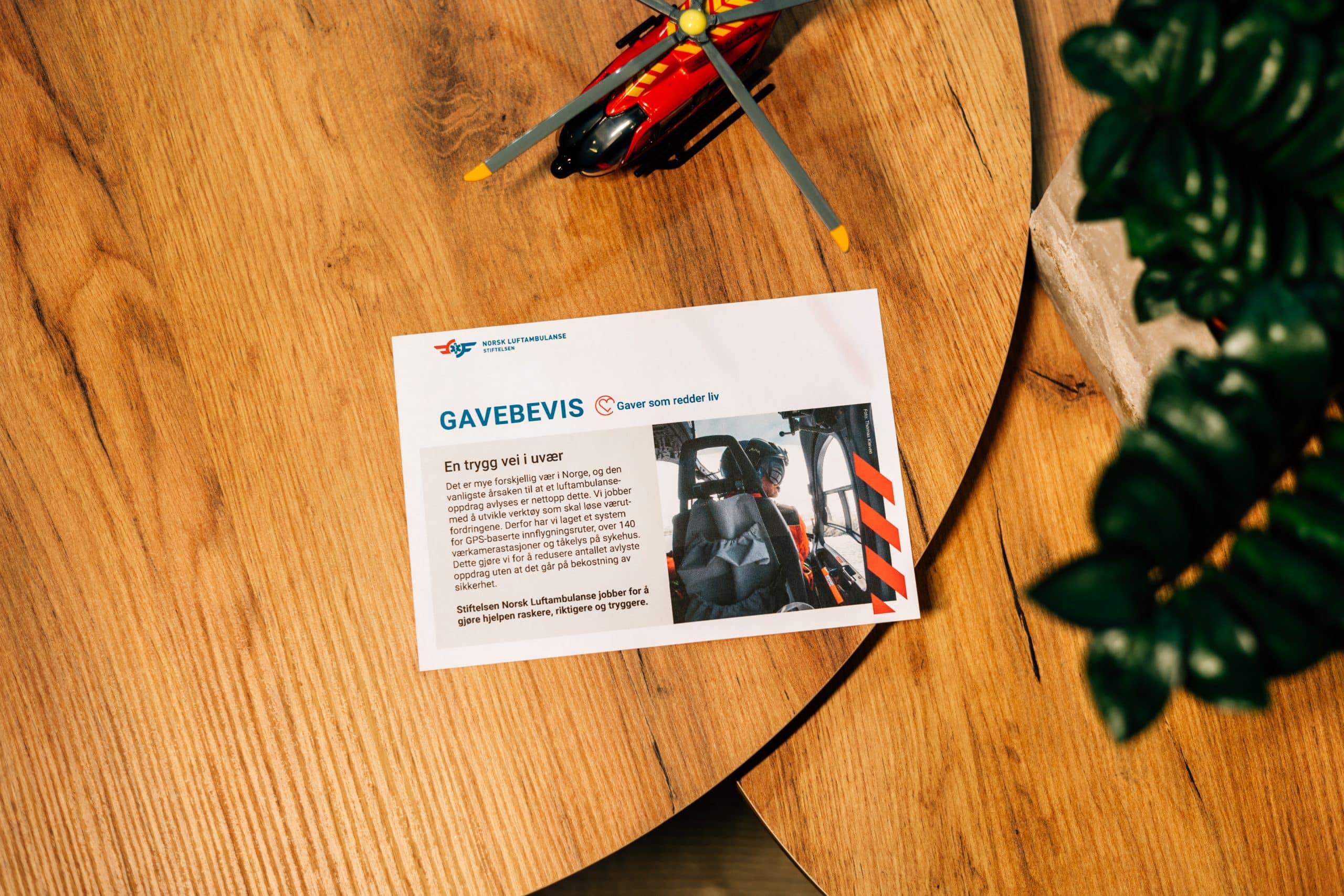 Gavebevis - En trygg vei i uvær